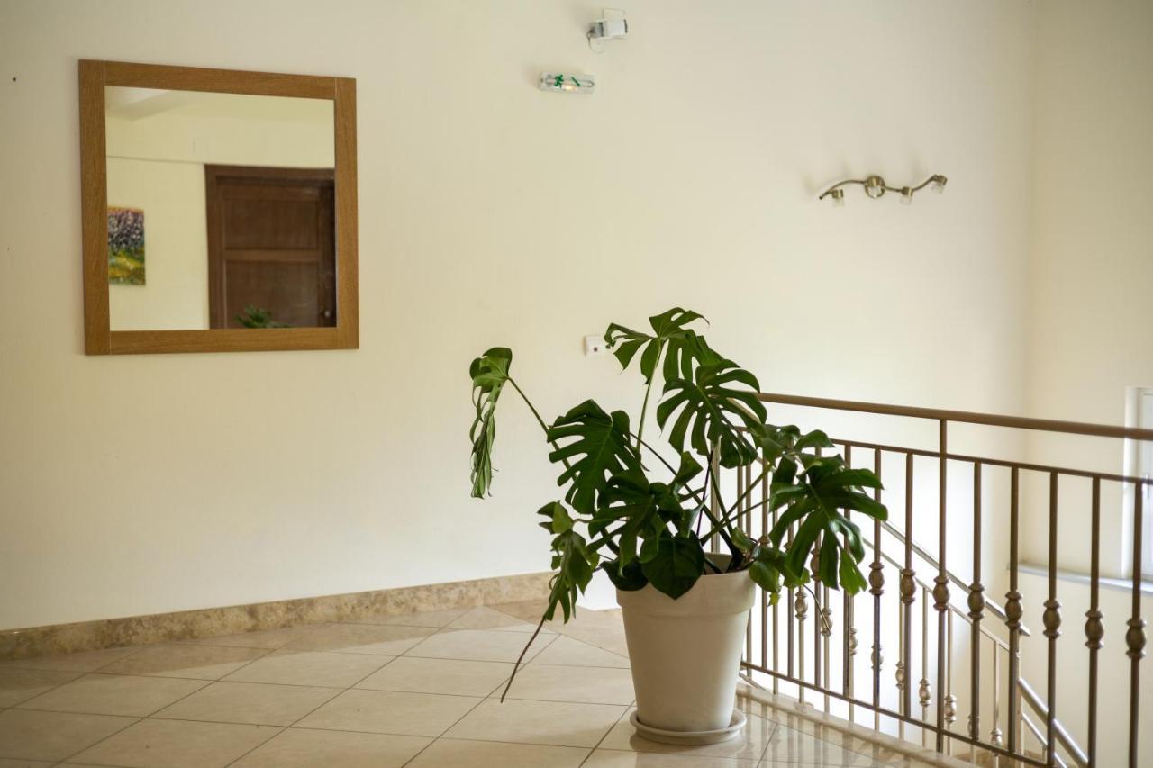 Chrisovalanto Hotel Sívota 외부 사진